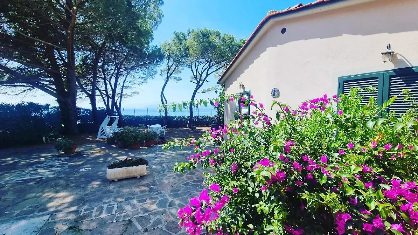 Villa Dei Cavallucci Marini Capoliveri